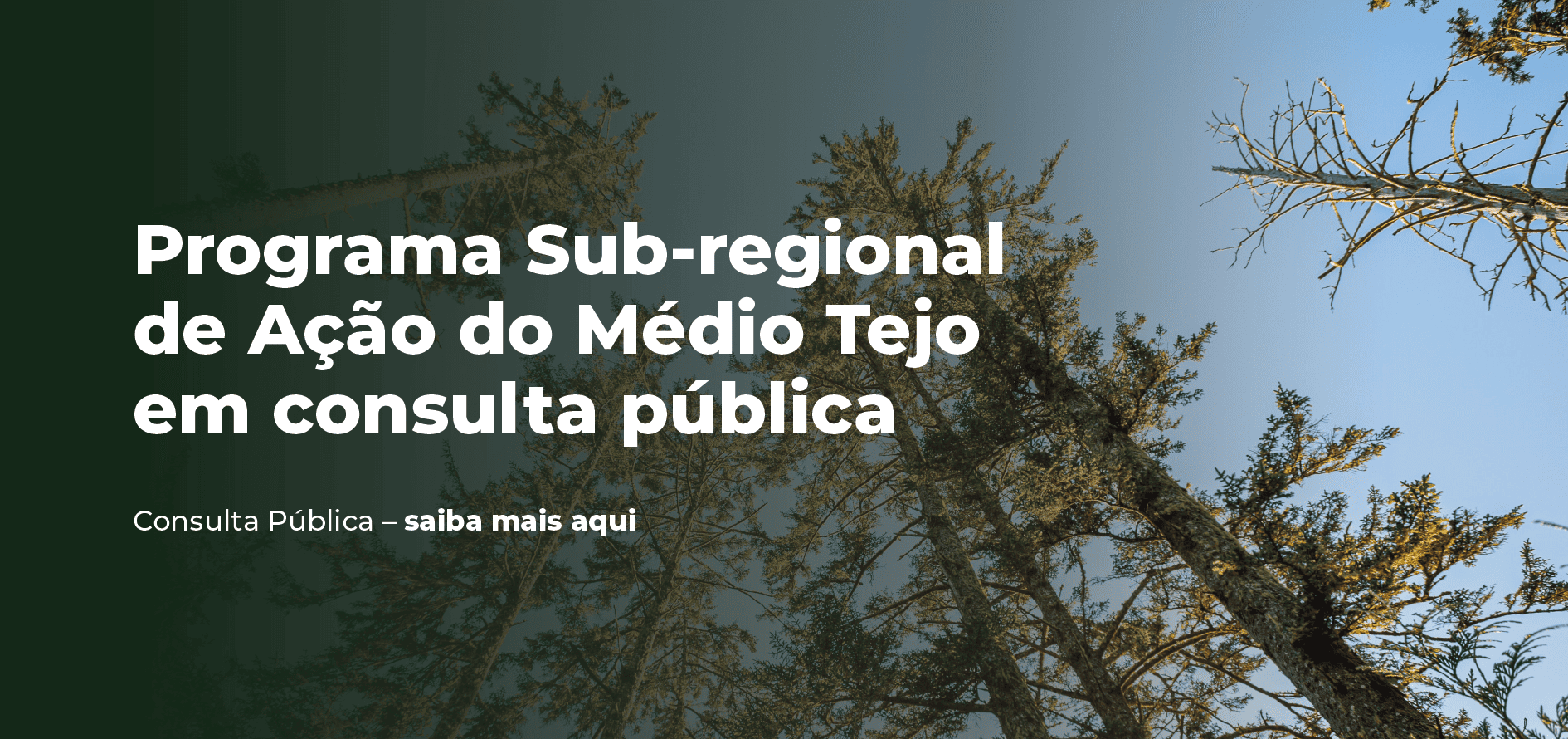 Programa Sub-regional de Ação do Médio Tejo em consulta pública