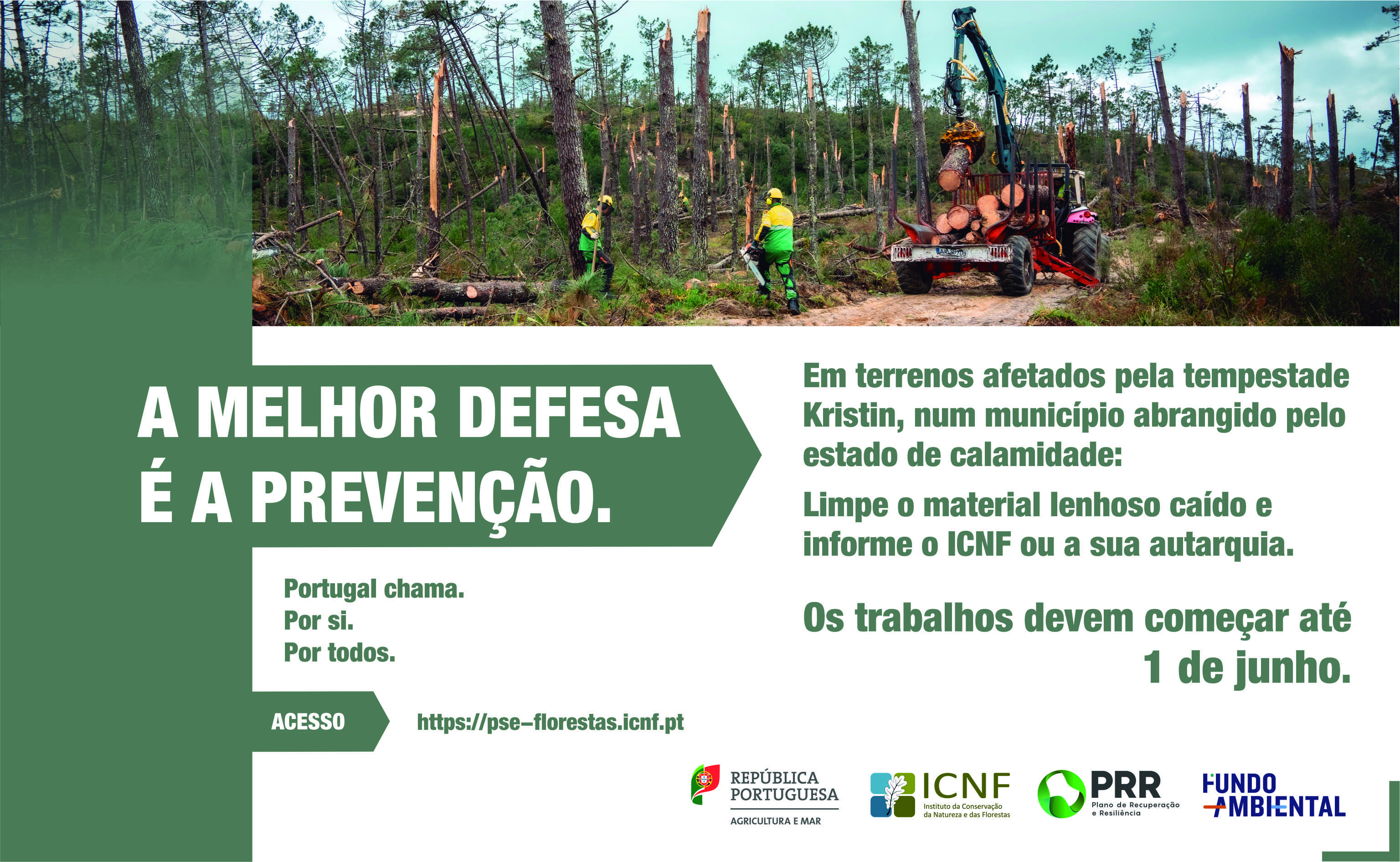 LIMPEZA DE TERRENOS (Tempestade Kristin) | PORTUGAL CHAMA