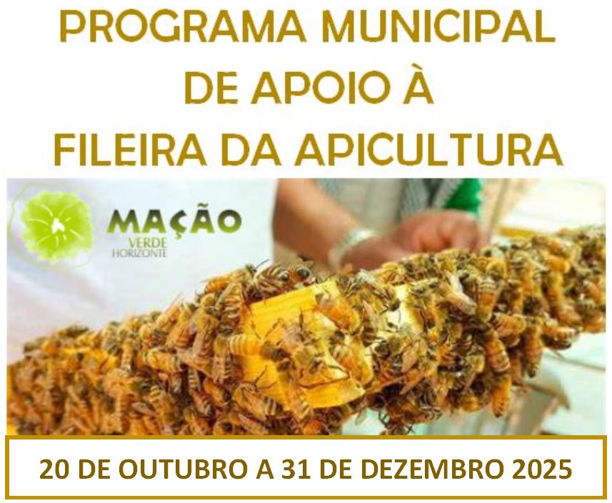 APOIO MUNICIPAL À FILEIRA DA APICULTURA